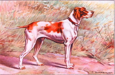 de Rosa Bonheur - Nationale d'Elevage